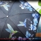 [더로라] 일본 직수입 5단 양우산- 초경량 양산 칼라버드 E821