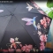 [더로라] 일본 직수입 5단 양우산- 초경량 양산 칼라버드 E821