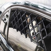 자동차 반려동물 창문 안전망